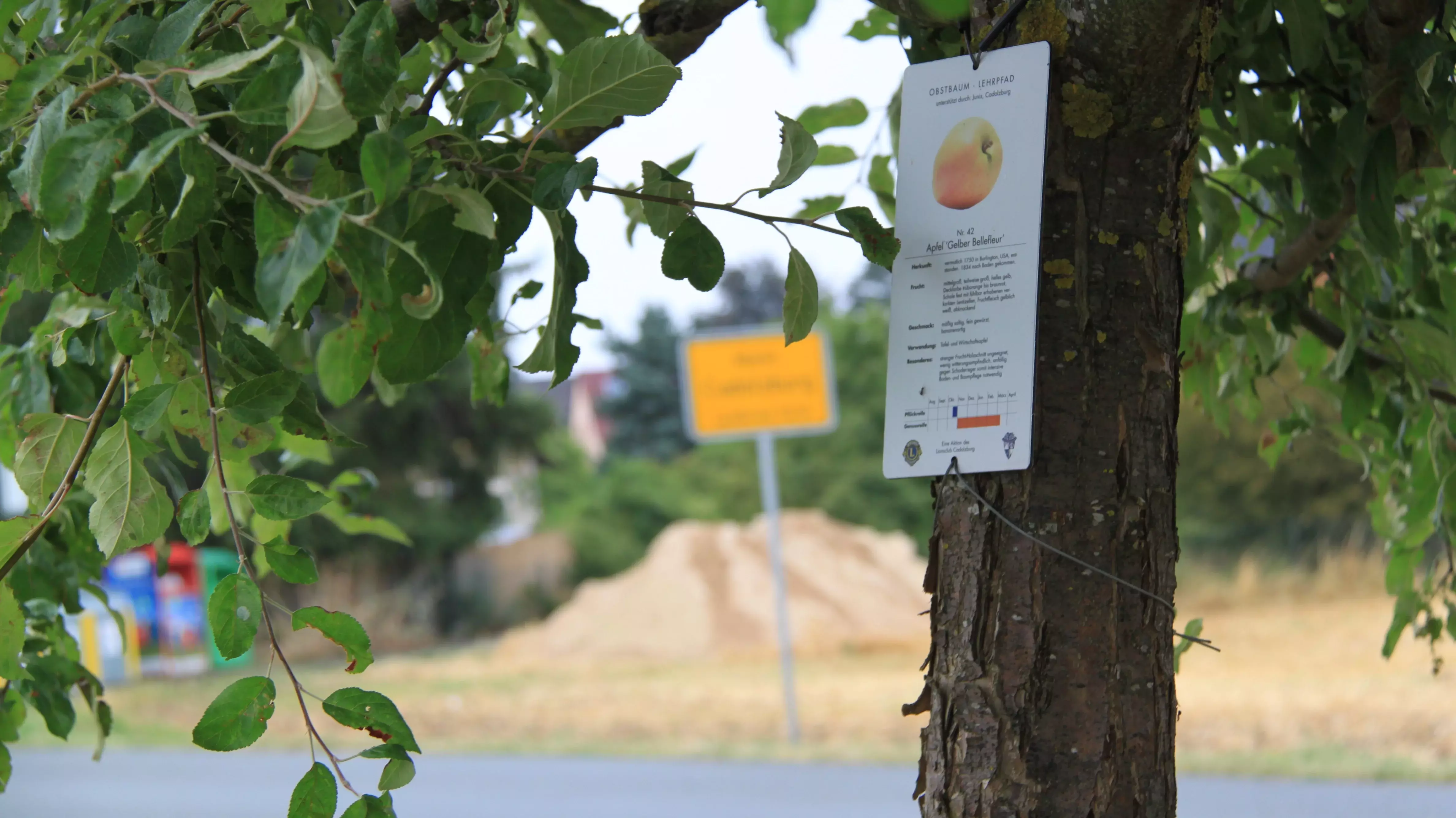 Lehrpfad-Schild und gelbes Band an einem Obstbaum